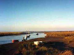 Morston Creek Bird Reserve